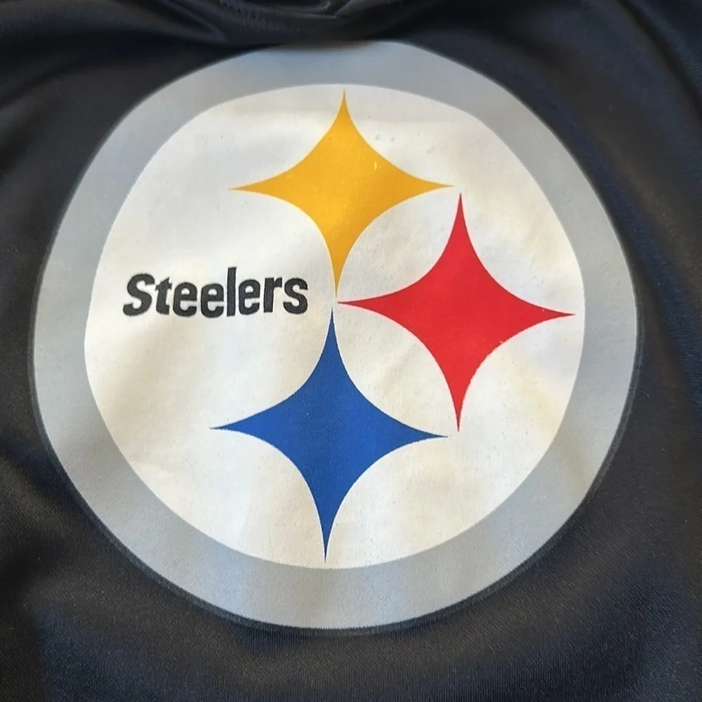 NFL pittsburgh steelers